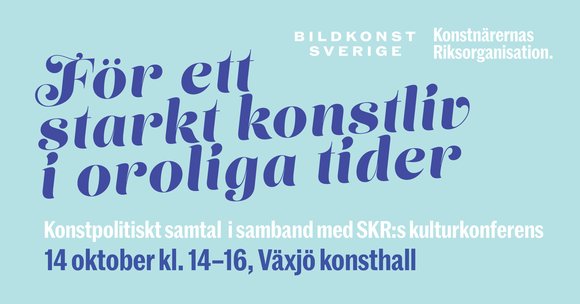 SKR_FB_ny