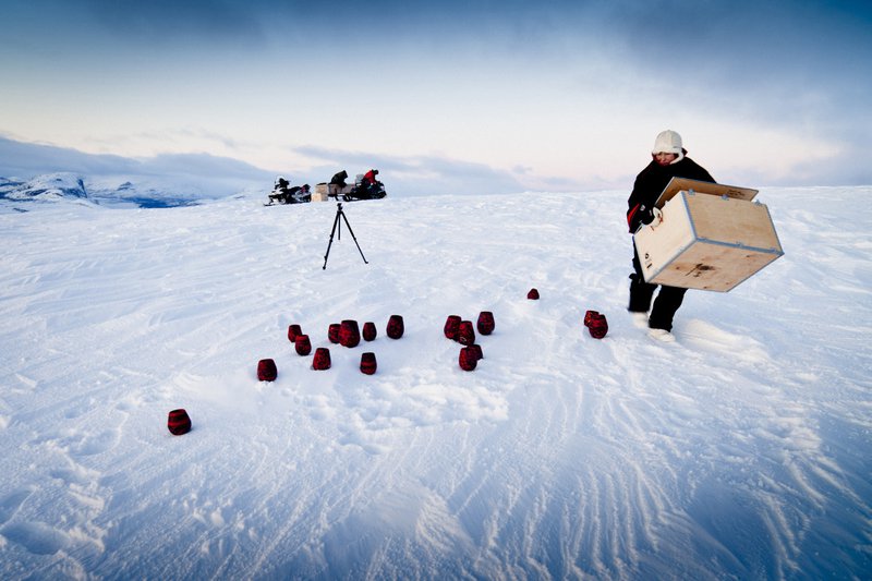 workprocess_in_ulldevis_100migratory_photo_carl-johan_utsi_2012_0.jpg